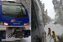 Konar zerwał trakcję. Pasażerowie utknęli w pociągu koło Nidzicy