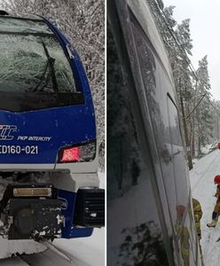 Konar zerwał trakcję. Pasażerowie utknęli w pociągu koło Nidzicy