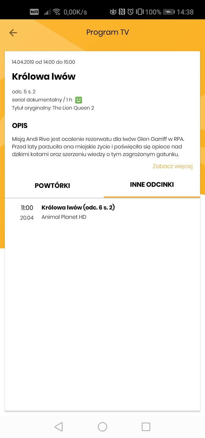 Opis serialu w programie telewizyjnym