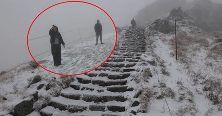 Wideo z Tatr. Turyści są w szoku