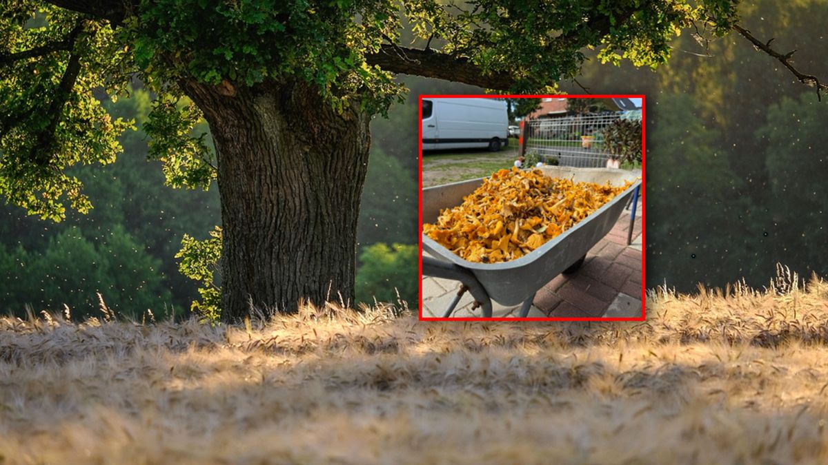 Zdjęcie internautki wzbudziło spore emocje.