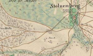 Kryły się w lesie. Odnaleźli ślady zapomnianego miasta