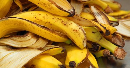Skórka od banana nowym superfood!