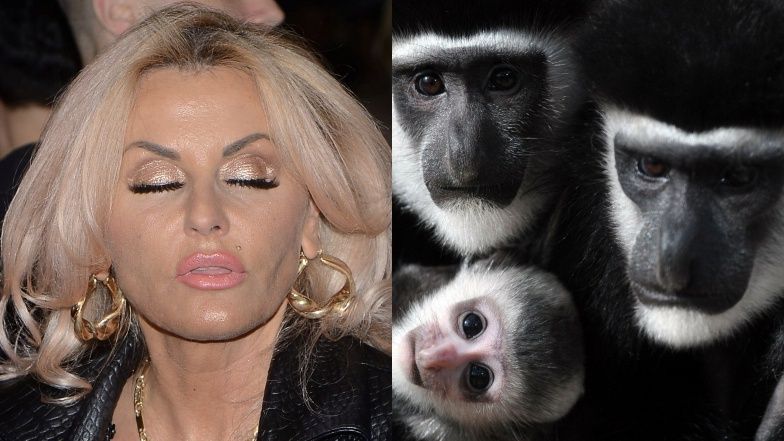 Dagmara Kaźmierska odpowiada na uwagi dotyczące wychowywania Conana