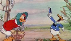 Kaczor Donald świętuje 90. urodziny. Jak wyglądał jego debiut? Spore zaskoczenie