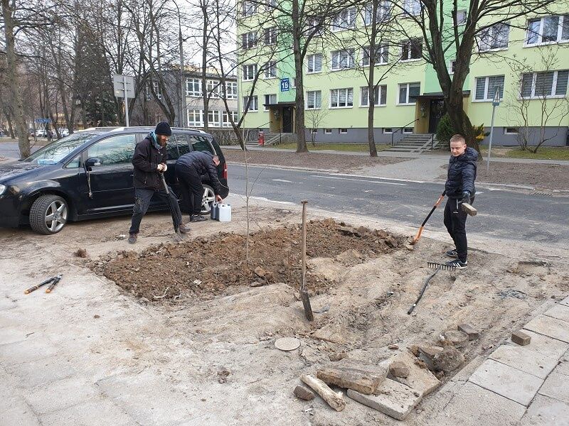 Dziki parking przed szpitalem został zamieniony w zieleniec