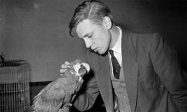 Młody sir David Attenborough. Późne lata 50. XX wieku.