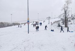 Sosnowiec. Pierwszy w Polsce stok pod dachem? Sprawdzą, czy to możliwe