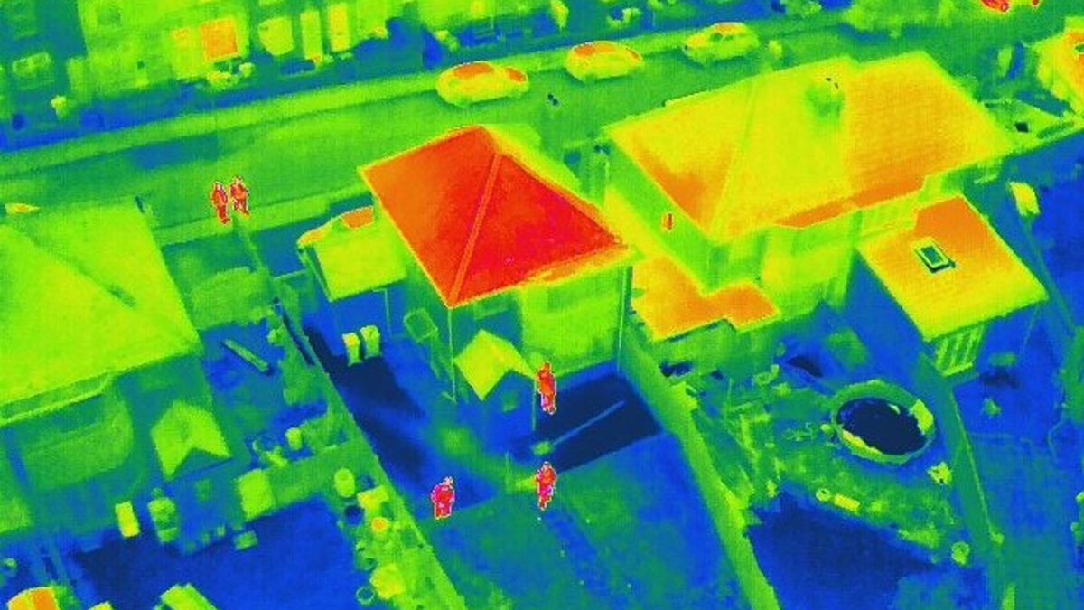 W opuszczonym domu funkcjonariusze znaleźli ponad 200 roślin konopi indyjskich, wartych ok. 211 tys. funtów. 