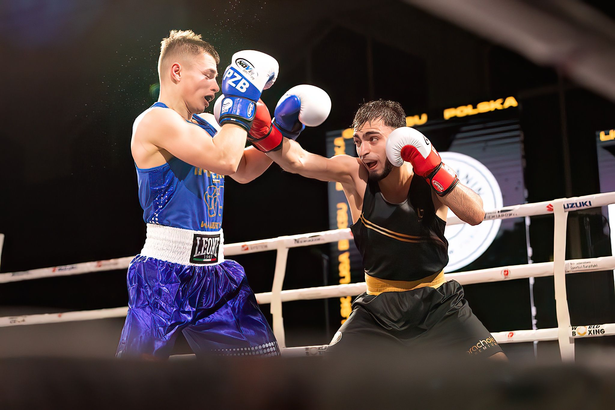 Polska Liga Boksu Pomorzanin Boxing Team - Imperium Wałbrzych