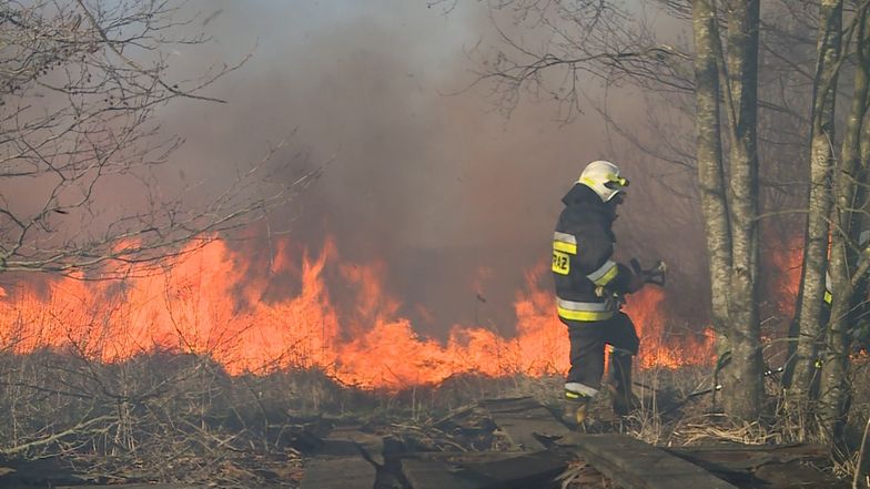 Kary za wypalanie traw mogą wzrosnąć do nawet 30 tys. zł - informuje resort środowiska