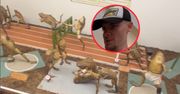 Wszedł do muzeum w Splicie i go zatkało. "Najdziwniejsze miejsce w Europie"