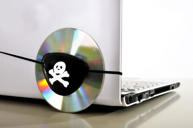 Zdjęcie płyty pochodzi z serwisu shutterstock.com