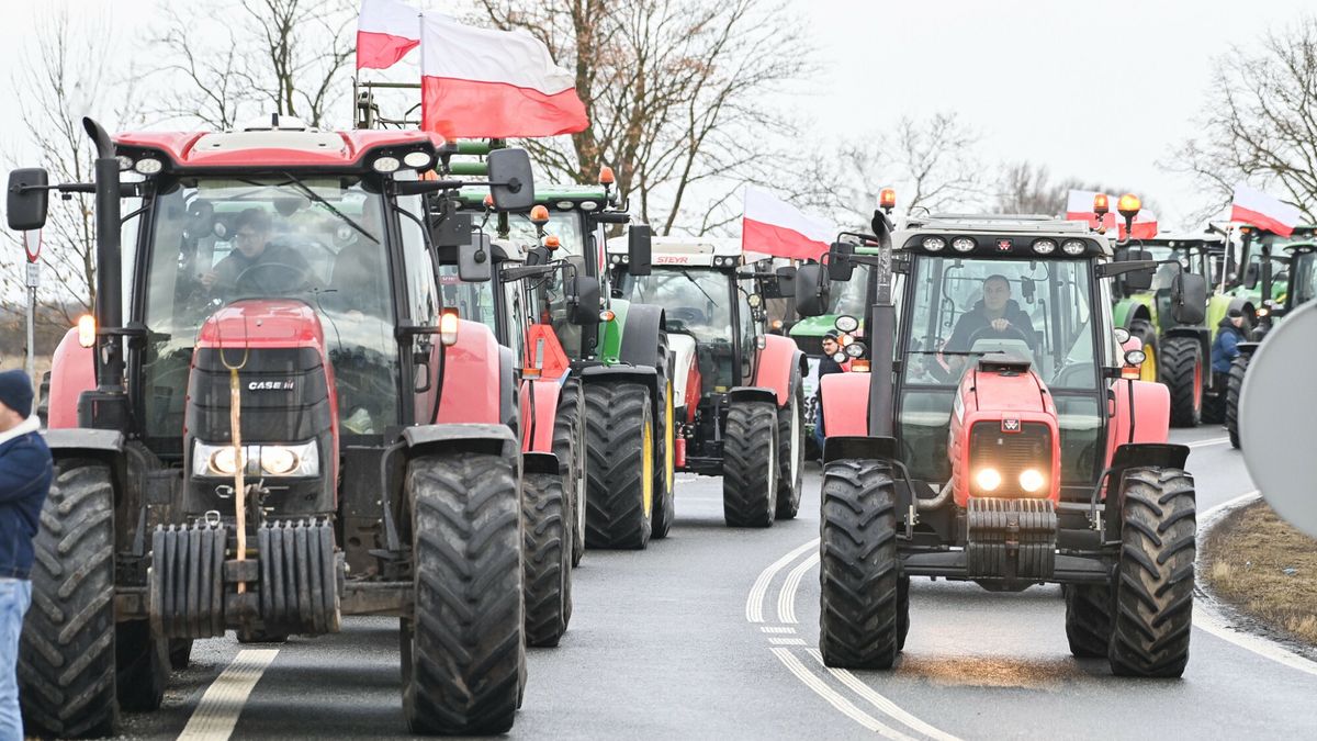 Og�lnopolski protest rolnik�w
24.01.2024 Nowy Dwor Gdanski Ogolnopolski protest rolnikow przeciwko ograniczeniom w produkcji rolnej wynikajacych ze strategii wprowadzania unijnego Zielonego Ladu i naplywowi towarow bez cla z Ukrainy
Fot. Wojciech Strozyk/REPORTER
Wojciech Strozyk/REPORTER