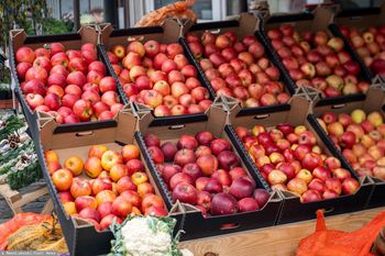 Wcale nie Polska. Oto nowy światowy lider w eksporcie jabłek