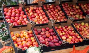 Wcale nie Polska. Oto nowy światowy lider w eksporcie jabłek