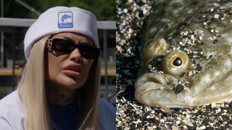 Laluna Unique zastanawia się, czy zwierzęta to ryby, czy ssaki