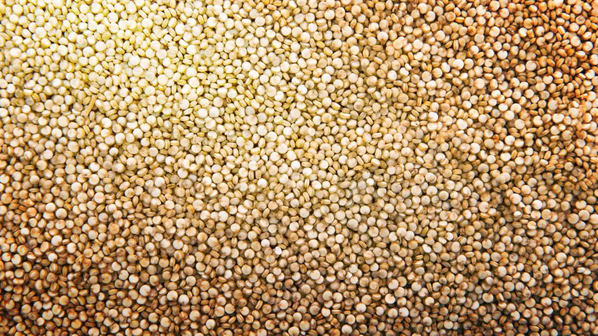 Superfoods w codziennej diecie. Jak efektywnie wprowadzić je do jadłospisu?