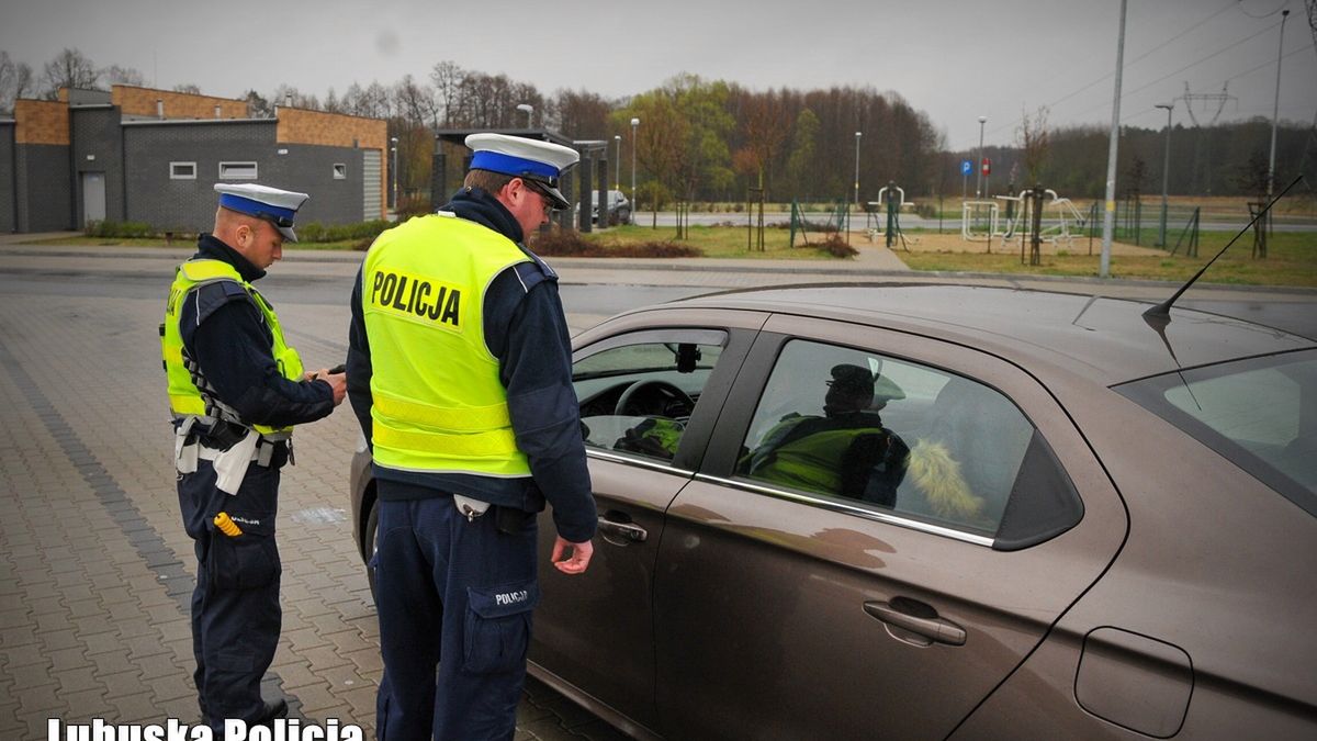 Wystarczą dwa mandaty w ciągu dwóch lat, by stracić prawo jazdy