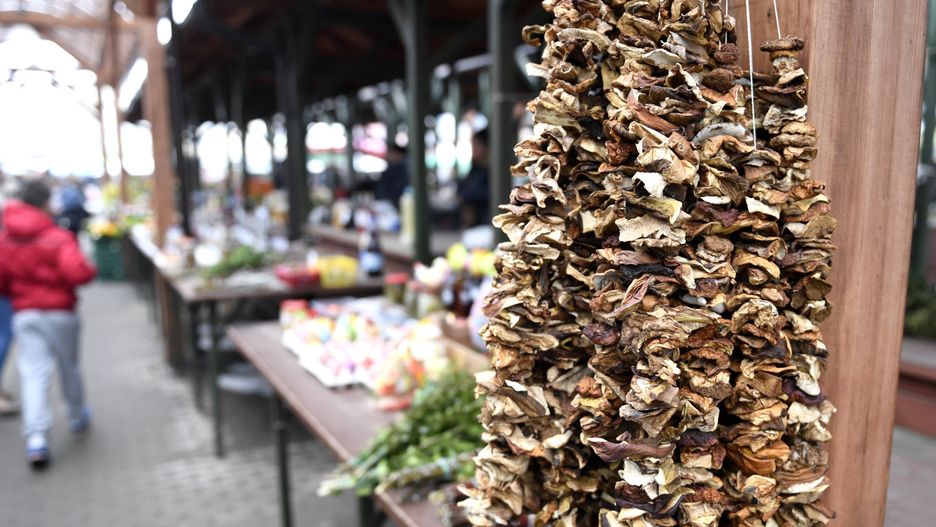 Cena grzybów suszonych na święta. W tym roku drożej 