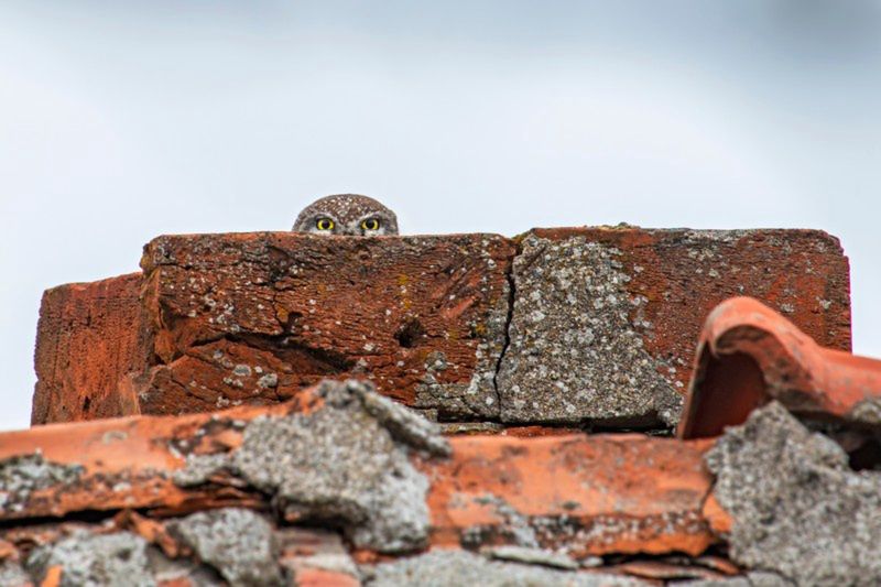 "You can’t see me, can you?"