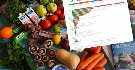 Powstaną nowe oznaczenia na opakowaniach? Trwają rozmowy. Chodzi o informowanie o śladzie węglowym