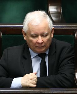 Posłanka zakpiła z Kaczyńskiego. "Udał się na wewnętrzną emigrację"