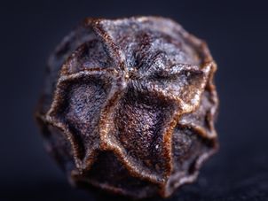 Najpopularniejsza przyprawa na świecie. Spala tkankę tłuszczową, chroni mózg, pomaga na ból stawów