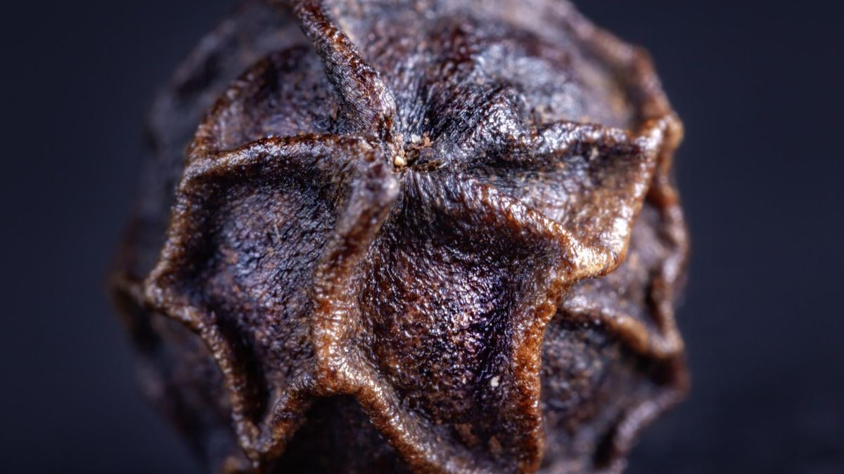 Pieprz – przyprawa, która dodaje smaku i wspiera twoje zdrowie