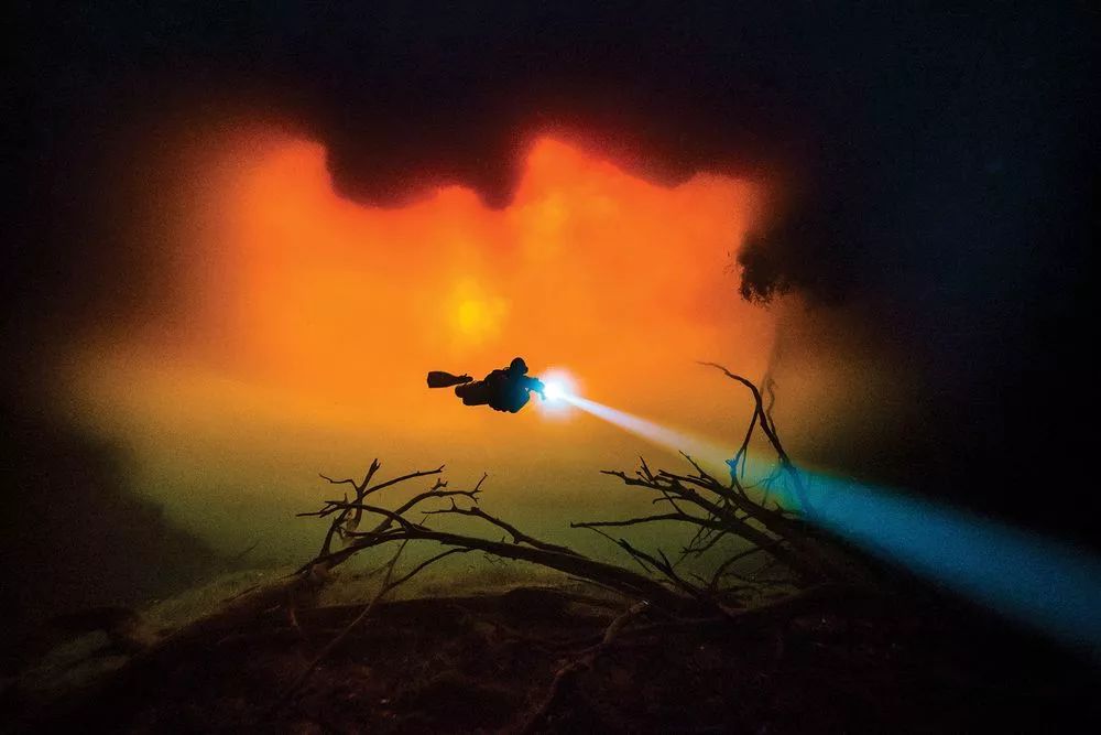 Niesamowity świat głębin - najlepsze zdjęcia podwodne według Scuba Diving Magazine 12