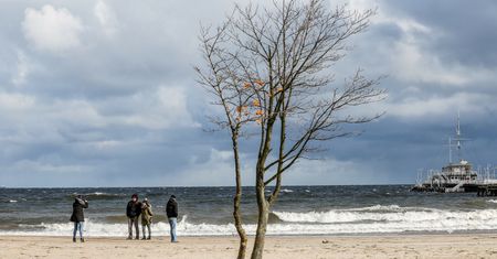 IMGW ostrzega: silny wiatr na Wybrzeżu i w Lubuskiem