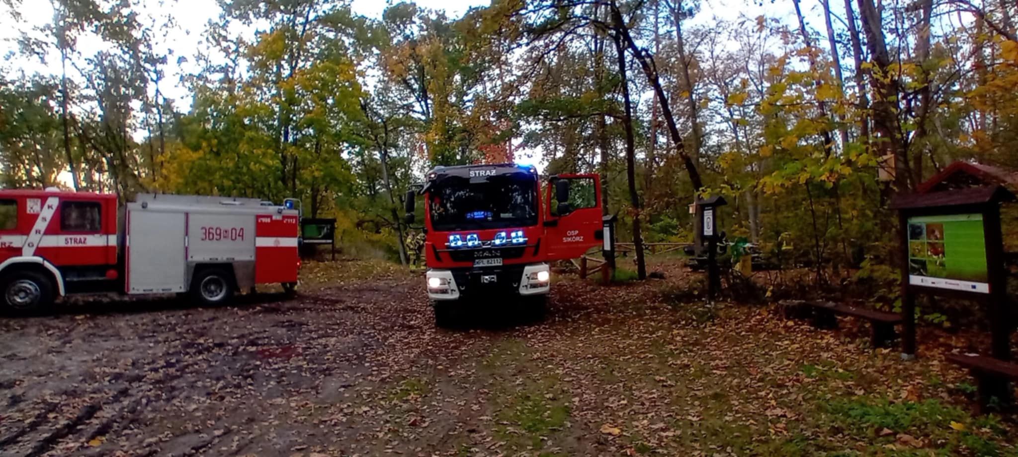 Interwencja druhów 