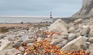 Plaża pełna cebuli i bananów. Nie znalazły się tam przypadkiem