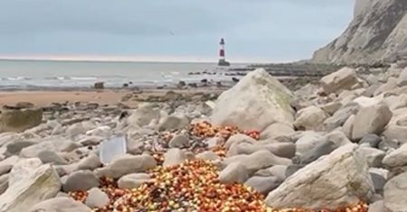 Plaża pełna cebuli i bananów. Nie znalazły się tam przypadkiem