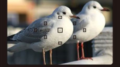 Poradnik: Tryby pracy Autofokusa 1