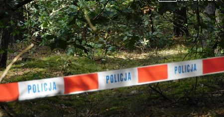 Był z synkiem na spacerze. 4-latek dosłownie zapadł się pod ziemię