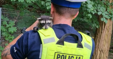 Maluch spadł z dachu. Momentalnie skradł serca policjantów