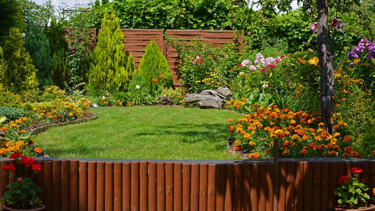 zielony, trawnik, w ogrodzie, otoczony, krzewami, ozodbnymi, kolorowymi, kwiatami, kolorowe, kwiaty, rabata kwiatowa, krzewy, iglaste, ozdobne, lato, wakacje, pieknie, kwiat, krajobraz, beautiful garden, shrubs, lily, marigold, conifers, designer garden, drewniany border