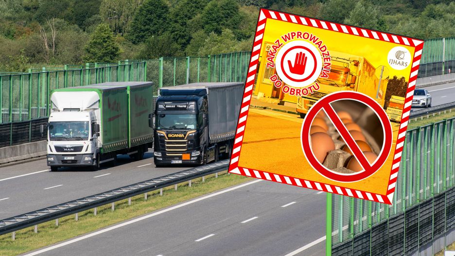 Jajka z Ukrainy z zakazem sprzedaży w Polsce
