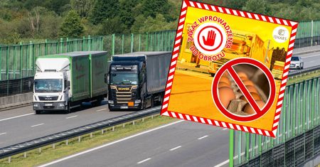 Jajka z Ukrainy z zakazem sprzedaży w Polsce. To odkryły służby