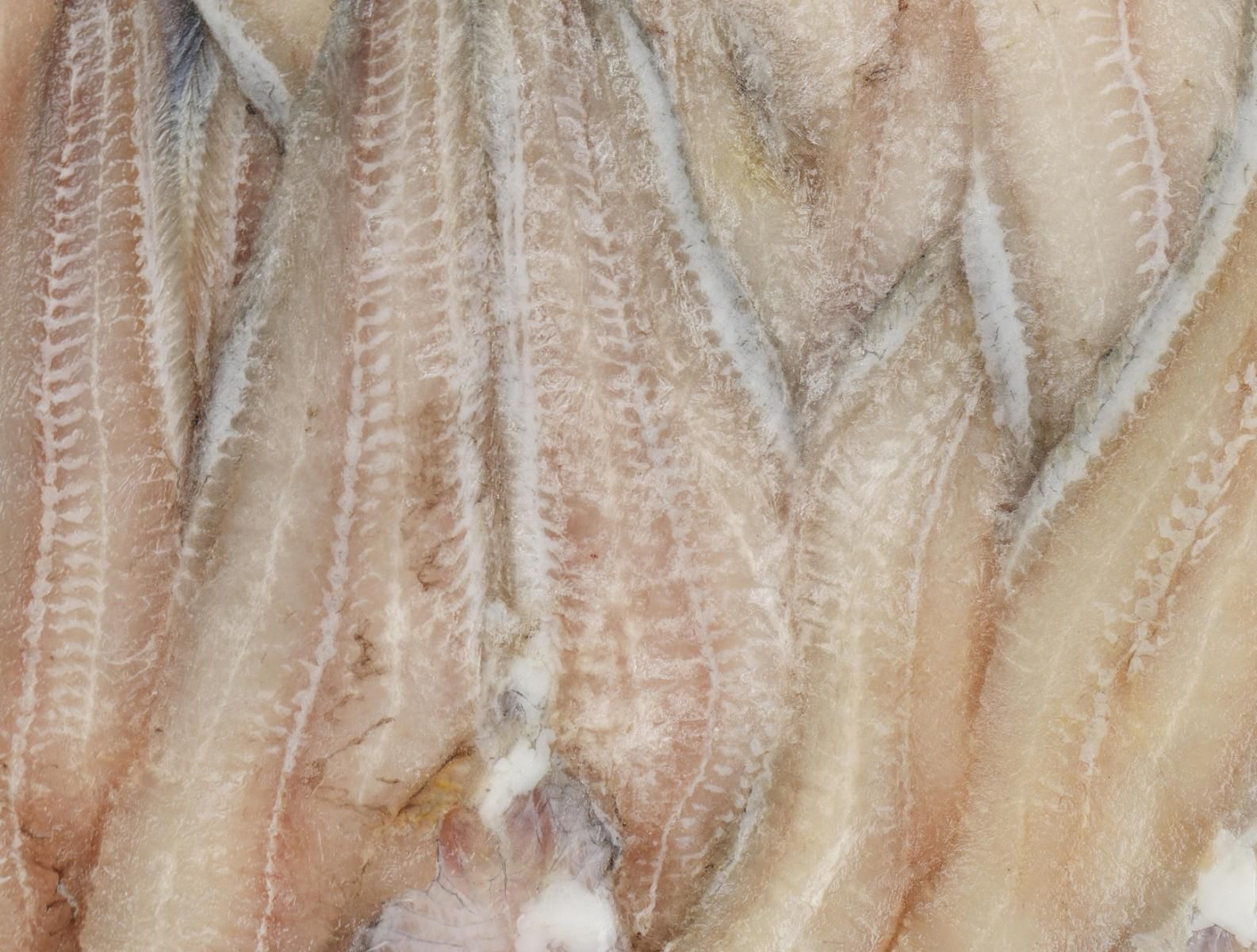 Sum jest źródłem łatwo przyswajalnego białka i kwasów omega-3