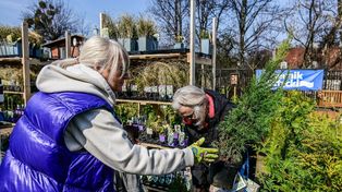 Sopot: "Drzewko za surowce wtórne". Kultowa akcja wraca na rynek
