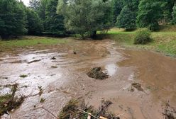 Ostrzeżenie IMGW. Jest ryzyko podtopień na Dolnym Śląsku