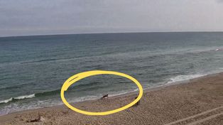Niedziela, godzina 7:50. Na plaży w Kołobrzegu taki widok