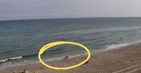 Niedziela, godzina 7:50. Na plaży w Kołobrzegu taki widok