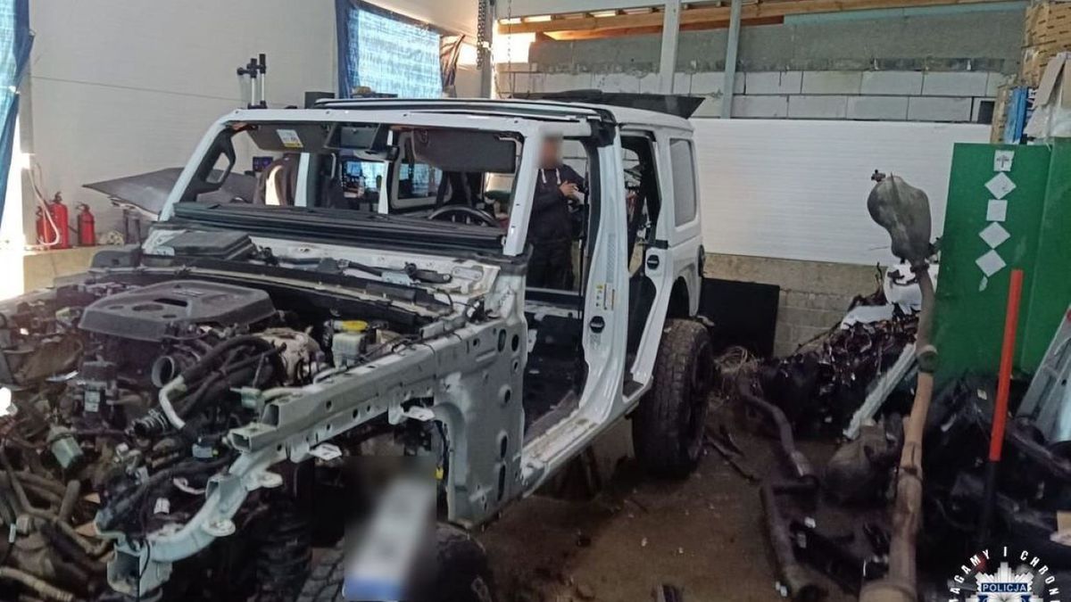 Kryminalni z „samochodówki” rozbili grupę przestępczą