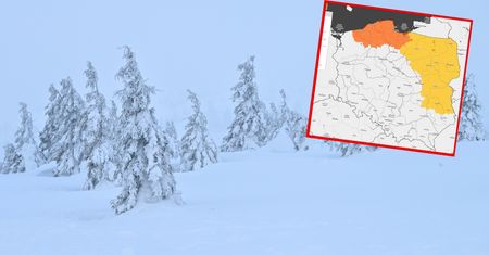 Alerty już wydane. Zamiecie śnieżne w kilku województwach