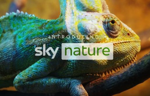 Nowe kanały dokumentalne w Niemczech