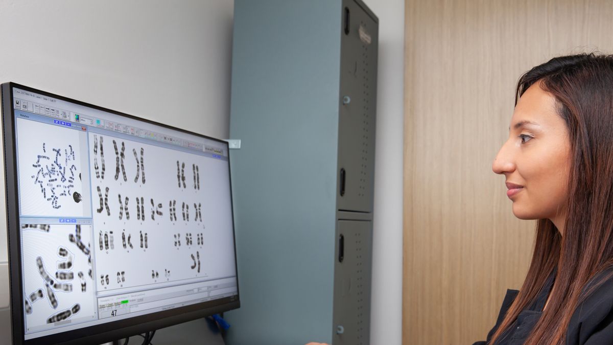 Badania kariotypu wymagają pobrania od pacjenta próbki materiału