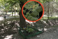 Strzał w kolano. 45-latek siedział na ławce. Nagle poczuł ból